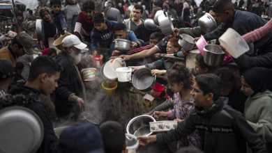 Photo of يونيسيف: 50 ألف طفل بغزة يعانون من سوء التغذية الحاد