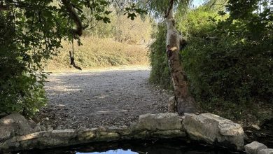 Photo of حالة الطقس: صاف وجاف