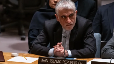 Photo of في أول تعليق لها عقب استشهاد يحيى السنوار.. هذا ما قالته إيران