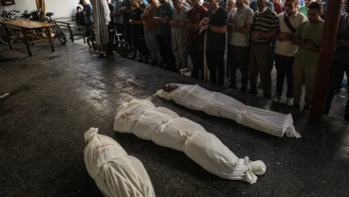 Photo of الأمم المتحدة: الفلسطينيون بشمال غزة يعانون أهوالا تفوق الوصف