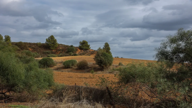 Photo of حالة الطقس: أجواء باردة غير اعتيادية وأمطار محلية في انحاء البلاد
