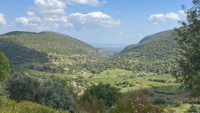 Photo of جو مشمس ومعتدل حتى نهاية الأسبوع