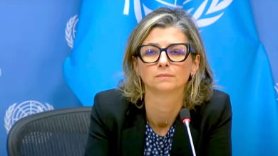 Photo of مقررة أممية: لا تسموا ما يحدث في غزة حربا فهو إبادة جماعية