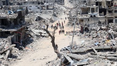 Photo of مقررة أممية: يجب وقف الوحشية الإسرائيلية المستمرة في غزة