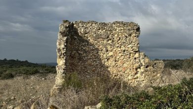 Photo of حالة الطقس: بارد وغائم جزئيا