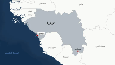 Photo of عشرات القتلى بصدامات أثناء مباراة كرة قدم في غينيا (شاهد)