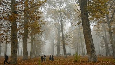Photo of جو غائم وانخفاض على درجات الحرارة مع بداية الأسبوع المقبل