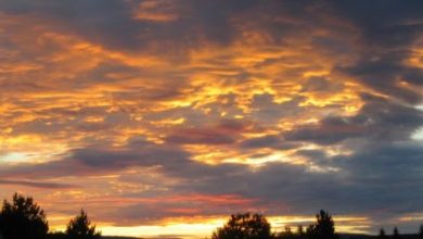 Photo of أجواء باردة وانخفاض على درجات الحرارة مساء اليوم