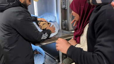 Photo of دعوة للإضراب في جنين حدادا على شهداء القصف الإسرائيلي