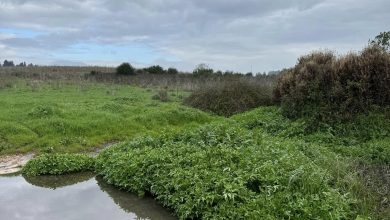 Photo of حالة الطقس: انخفاض في درجات الحرارة