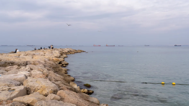 Photo of حالة الطقس: توقع هطول أمطار محلية