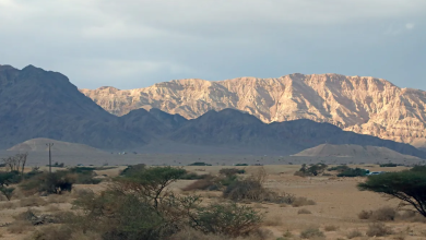 Photo of حالة الطقس: غائم جزئيا وبارد