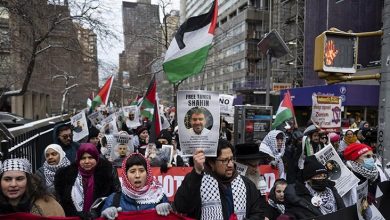 Photo of متظاهرون في نيويورك يطالبون تل أبيب بالإفراج عن الطبيب “أبو صفية”