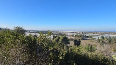 Photo of حالة الطقس: أجواء باردة وانخفاض آخر في درجات الحرارة