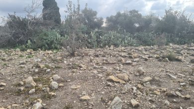 Photo of حالة الطقس: غائم جزئيا إلى صاف