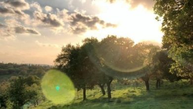 Photo of الطقس: جو معتدل ودرجات الحرارة بانخفاض