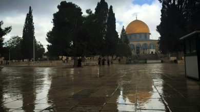 Photo of حالة الطقس: جو بارد وغائم وفرصة لسقوط أمطار متفرقة