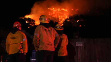 Photo of أنقاض ورماد.. حرائق الغابات تحيل لوس أنجلوس لما يشبه منطقة حرب