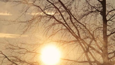 Photo of حالة الطقس: جو صاف ومعتدل