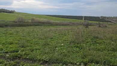 Photo of حالة الطقس: غائم جزئيا