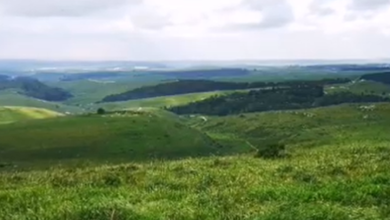 Photo of حالة الطقس: أمطار في مختلف المناطق بالبلاد وثلوج في جبل الشيخ