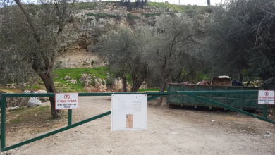 Photo of الهدف المعلن “البستنة” والخفي “المصادرة”.. هكذا يتغلغل الاحتلال بأراضي المقدسيين