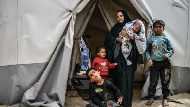 Photo of مقررة أممية: فظائع إسرائيل بحق فلسطينيات غزة “إبادة جماعية للإناث”