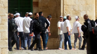 Photo of بتسيلم: عنف المستوطنين بالضفة مدعوم حكوميا وهدفه تهجير السكان