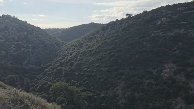 Photo of حالة الطقس: غائم جزئيا إلى صاف