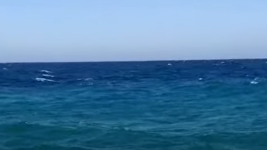 Photo of حالة الطقس: ارتفاع طفيف في درجات الحرارة