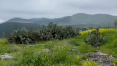 Photo of حالة الطقس: استمرار الأجواء الباردة