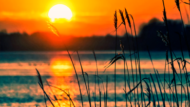 Photo of حالة الطقس: جو غائم وبارد نسبيًا ودرجات الحرارة بارتفاع