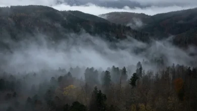 Photo of خبراء: الشهر الماضي أكثر أشهر يناير حرا على الإطلاق