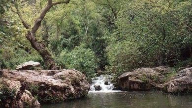 Photo of حالة الطقس: ارتفاع طفيف على درجات الحرارة مع بقاء الأجواء باردة