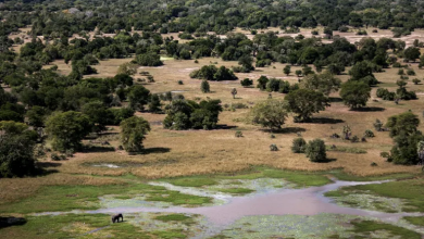 Photo of إعصار “جود” يضرب موزمبيق.. 16 قتيلا ودمار واسع للبنية التحتية
