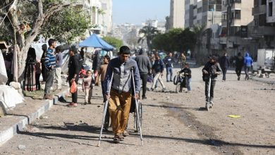 Photo of الحرب على غزة.. تحذير من إبادة جماعية في تل السلطان