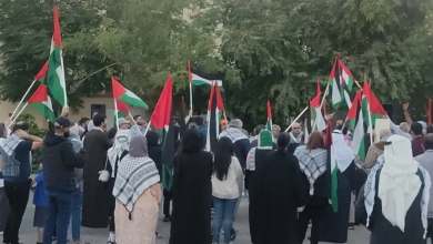 Photo of اعتصام تضامني مع غزة في البحرين ودعوات للحكومة بإلغاء التطبيع (شاهد)