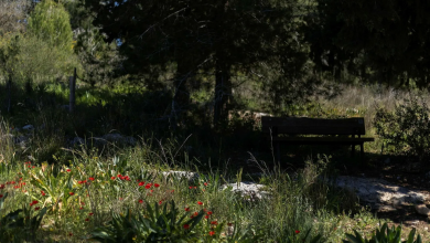 Photo of حالة الطقس: تواصل الارتفاع في درجات الحرارة