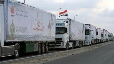 Photo of نقابة أطباء مصر تدعو إلى استئناف إرسال المساعدات إلى غزة