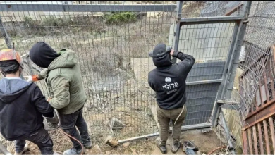 Photo of كاتب إسرائيلي يحذر من العودة إلى جنوب لبنان خشية استنزاف الجيش وقتل جنوده