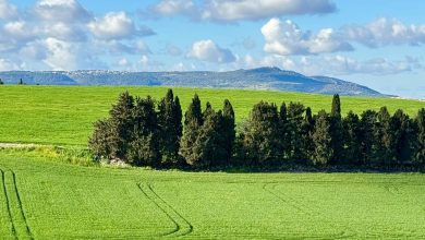 Photo of حالة الطقس: ارتفاع آخر في درجات الحرارة