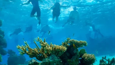 Photo of مصرع 6 سياح غرقت غواصتهم قبالة الغردقة بمصر