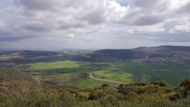 Photo of حالة الطقس: جو صافٍ إلى حار وارتفاع بدرجات الحرارة