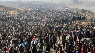 Photo of مقرر أممي: فكرة الترحيل الجماعي لسكان غزة “مجرد خيال”