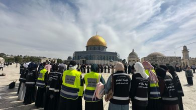 Photo of لجنة فتيات الأقصى.. 5000 متطوعة في خدمة المسجد والمصلين