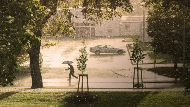 Photo of الطقس: انخفاض بدرجات الحرارة وفرصة لسقوط أمطار