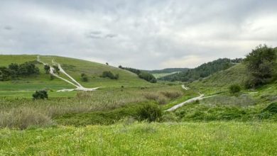 Photo of حالة الطقس: غائم جزئيا إلى صاف