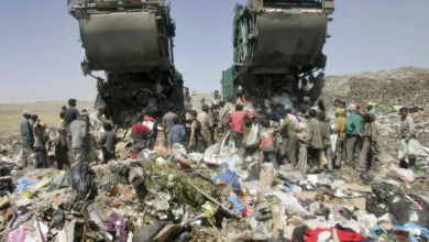 Photo of الاحتلال يحوّل الضفة إلى “مكب” في جريمة بيئية مستمرة