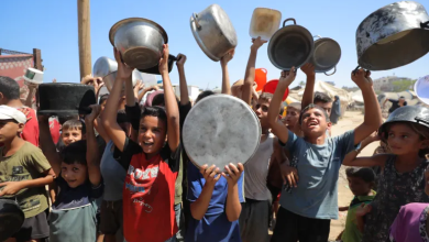 Photo of العشائر الفلسطينية تطالب الهيئات العربية والدولية بفرض إدخال المساعدات لغزة