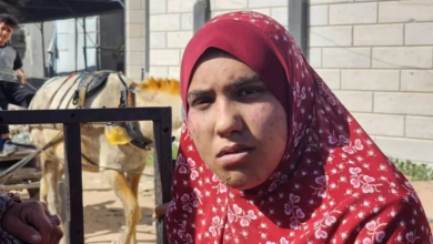 Photo of قصة ريم التي صارعت الموت 4 أيام وعادت لتروي مأساة غزة (شاهد)